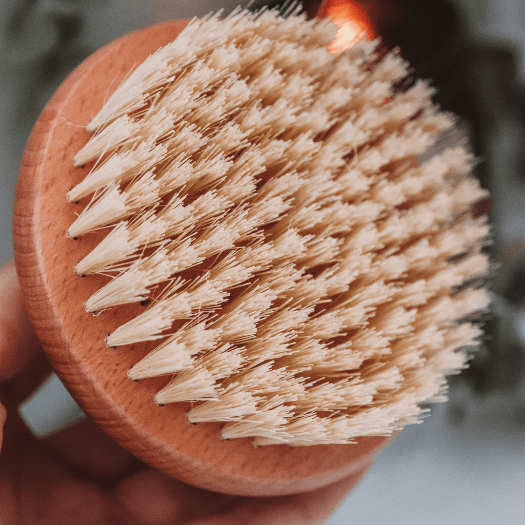 Dry Body Brush Carousel Image 3