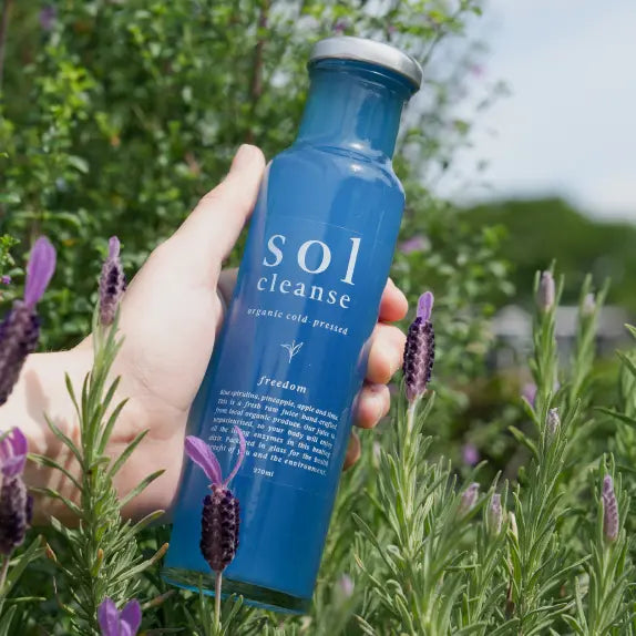 Shop