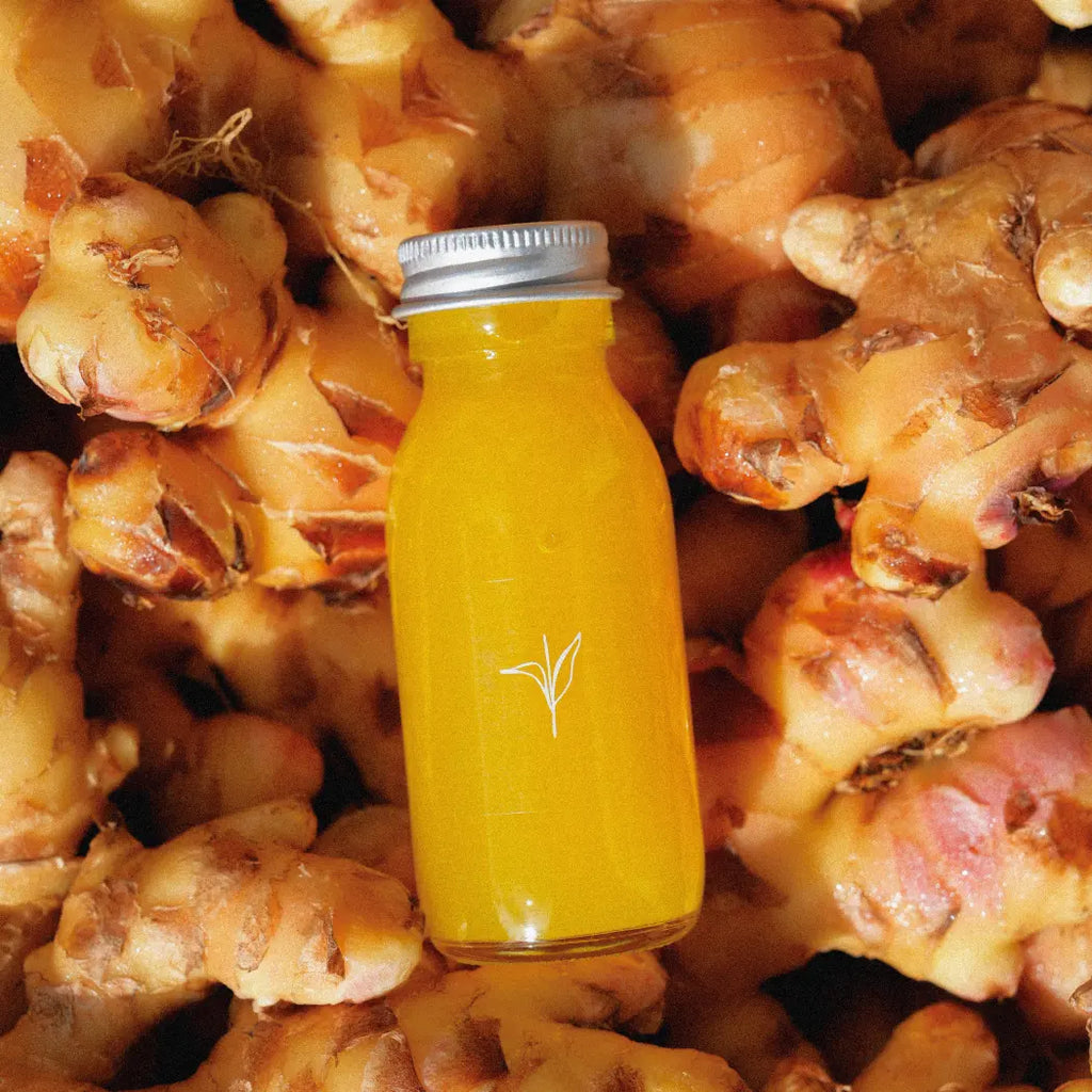 A potent mix of turmeric and ginger, balanced by the subtle sweetness of honey.