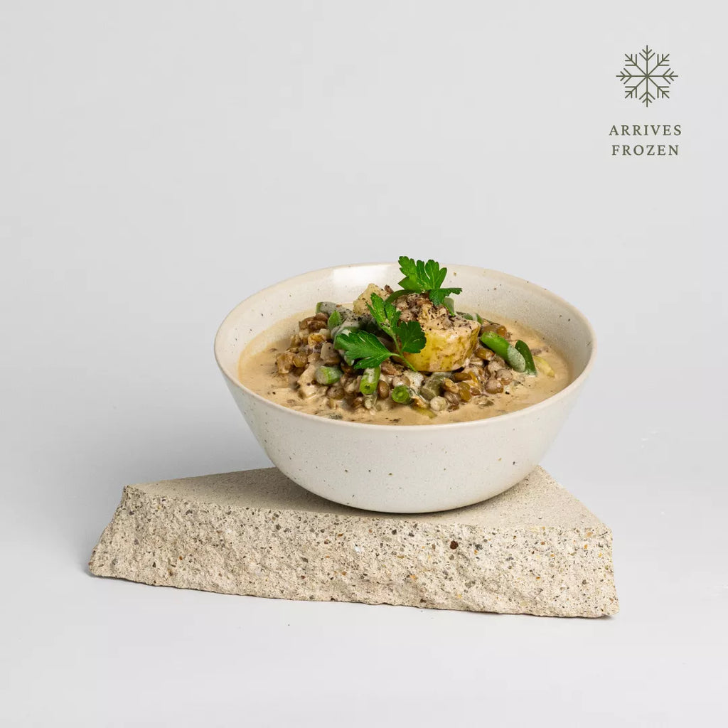 Mushroom + Lentil Stroganoff